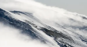 Popüler Kültür Trendleri ve İnsanların Sosyal Medyada En Çok Konuştukları Akımlar