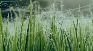 Müziğin Ruhsal Sağlık Üzerindeki Etkileri ve Mutlaka Dinlenmesi Gereken Albümler