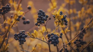 Son Dönemde Tüm Dünyada En Çok Konuşulan Diziler ve İzleyicilerden Gelen Yorumlar